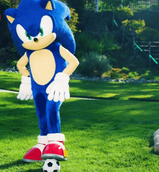 Speedy Hedgehog